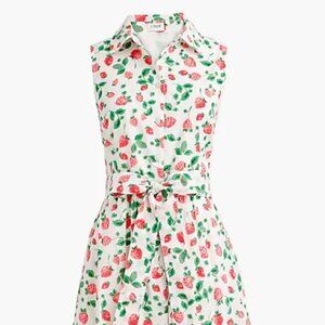 J Crew Strawberry Collared Midi Dress (brand new with tags)